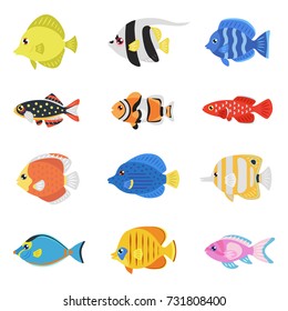 Colorful fish flat style vector set (tropical, marine, oceanic, freshwater).