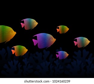 colorful fish group