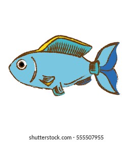 colorful fish icon image vector illustration design 
