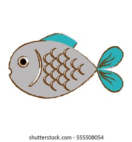 colorful fish icon image vector illustration design 
