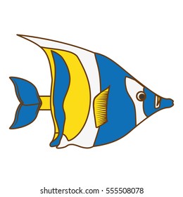 colorful fish icon image vector illustration design 