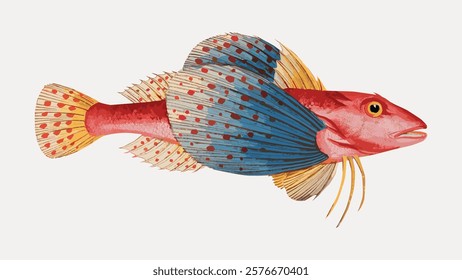 Colorful fish illustration with vibrant fins. The fish features red, blue, and yellow hues. Detailed fish design with intricate patterns and vibrant colors. Vintage art drawing, isolated vector.