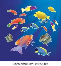 Colorful fish and jellyfish of the Red Sea