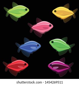 Colorful fish on black background