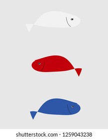 Colorful fish on a gray background.