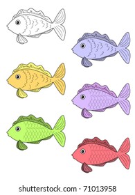 Colorful fish on a white background