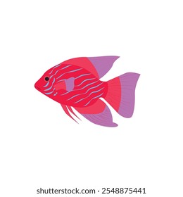 Colorful Fish Scalare Illustration With beautiful colors