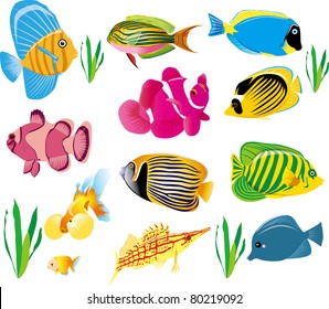 colorful fish set