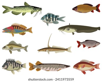 Colorful fish set. River and sea fish. Vector illustration.