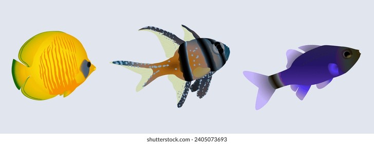 Colorful fish set. Tropical and aquarium fish. Vector illustration.