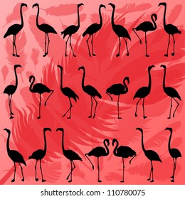 Colorful flamingo bird and feathers silhouettes illustration collection background vector