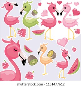 Colorful Flamingo Freshness