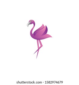 Colorful flamingo logo design premium