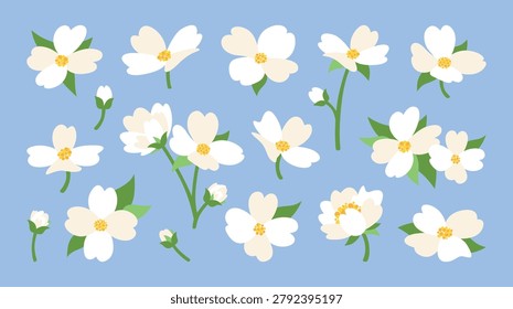 Colorful flat cartoon set of jasmine flower illustrations in different positions. Different parts of the plant, bud, flower bud, inflorescence, stem, leaf. Cute vector elements of white flowers for decoration and design of invitations, greeting cards, wallpapers, gift boxes and wrapping paper.