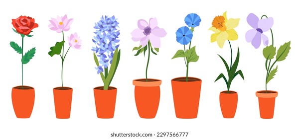 Colorful flat flowers in long pot. Perfect for illustrations and nature education.