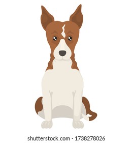 Colorful flat illustration of basenji. Dog flat icon. Vector.