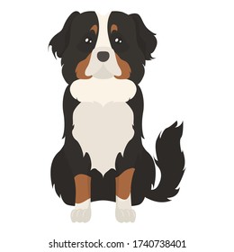 Colorful flat illustration of Bernese Mountain Dog. Dog flat icon. Vector.