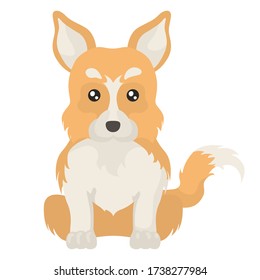 Colorful flat illustration of corgi. Dog flat icon. Vector.