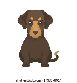 Cartoon Vector Illustration Cute Purebred Dachshund Stock Vector ...