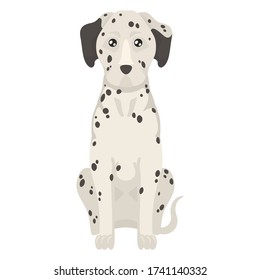 Colorful flat illustration of dalmatian. Dog flat icon. Vector.