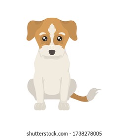 Colorful flat illustration of Jack Russell Terrier. Dog flat icon. Vector.