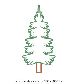 Colorful flat line isolated pine tree vector illustration
