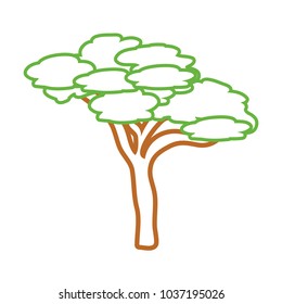Colorful flat line isolated umbrella stone pine tree vector illustration