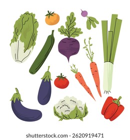 Ilustração em estilo plano colorida de legumes variados, incluindo cenouras, berinjela, alface, tomates, pimentos e muito mais. Ideal para alimentação saudável, agricultura ou projetos de mercado. Ilustração vetorial