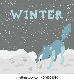 Colorful flat vector illustration of cute, playful, mischievous light blue wolf grinning, pointing finger at animal footprints in snow. Winter setting. Tracking, hunting concept.