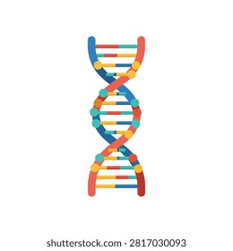 Colorful Flat Vector Illustration of a DNA Double Helix Structure Representing Genetics and Science