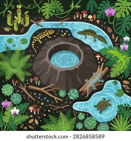 Colorful flat vector illustration of a lush tropical forest ecosystem surrounding a natural volcanic rock pool and flowing streams. The detailed scene features frogs, turtles, salamanders, fish, pitcher plants, mushrooms, flowers, ferns, and tropical foliage, representing biodiversity, rainforest wildlife, freshwater habitats, ecology, conservation, and natural ecosystems.