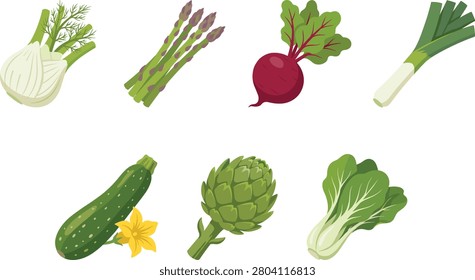 Colorful flat vector illustration set of fresh vegetables including fennel, asparagus, beetroot, leek, cucumber, artichoke, and leafy greens. Ideal for food packaging, recipe designs, healthy eating concepts, menus, and agricultural marketing materials.