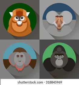 Colorful flat vector monkey images in set, a symbol of the 2016 new year, various primates, gorilla, snub-nosed Chinese monkey, baboon, orangutan