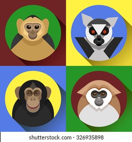Colorful flat vector monkey images in set, a symbol of the 2016 new year, various primates,  marmoset, lemur, chimpanzees
