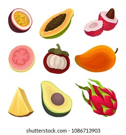 Colorful flat vector set of exotic fruits. Natural and healthy food. Ripe and tasty products. Ingredients of vegetarian nutrition