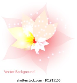 Colorful floral abstract background