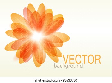 Colorful floral abstract background