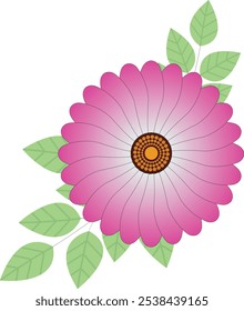 Colorful Floral Arts and Graphical Illustration on White Background.  Vector Flower Photos, Images, Pictures on a Print Ready Template  for Use on Cloth and Stationary Industry.