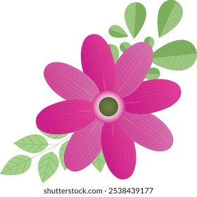 Colorful Floral Arts and Graphical Illustration on White Background.  Vector Flower Photos, Images, Pictures on a Print Ready Template  for Use on Cloth and Stationary Industry.