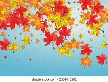 Colorful Floral Background Blue Vector. Foliage Bright Design. Ocher Isolated Leaf. Forest Leaves Illustration.