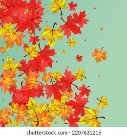 Colorful Floral Background Green Vector. Foliage September Template. Autumnal Pattern Leaves. Realistic Plant Illustration.