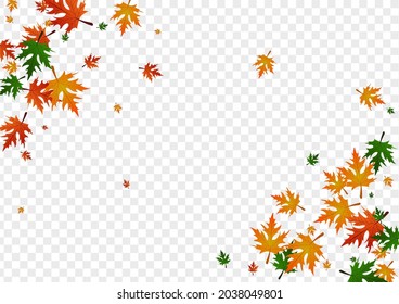 Colorful Floral Background Transparent Vector. Plant Collection Card. Yellow Wallpaper. November Design. Brown Leaf Realistic.