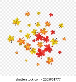 Colorful Floral Background Transparent Vector. Foliage Bright Illustration. Autumnal Beautiful Leaf. Realistic Leaves Design.