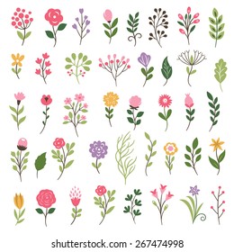 Colorful floral collection with   flowers and leaves svg
