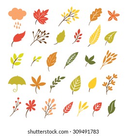 Colorful floral collection with leaves and flowers, autumn leaves