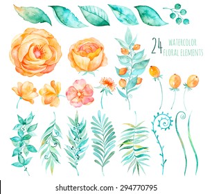 Colorful floral collection with roses,leaves,berries,branches and others.Hand drawn design.Vector floral collection for your compositions.Bright colors watercolor,spring-summer botanical elements