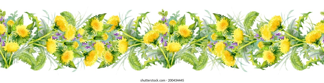 Colorful floral dandelion seamless pattern on white background vector