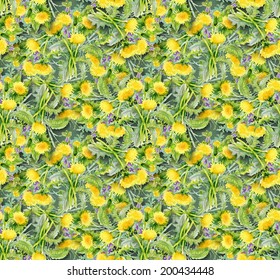 Colorful floral dandelion seamless pattern on green background vector
