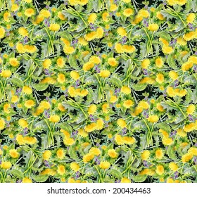 Colorful floral dandelion seamless pattern on dark green background vector