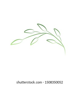 Colorful floral decorative elements. Vector illustration.